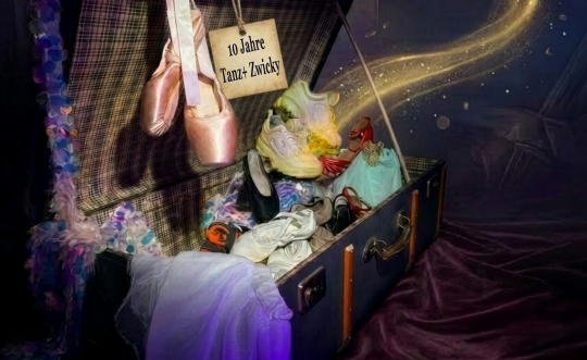 ECHOS - eine bewegte Reise - 10 Jahre TANZ+ ZWICKY